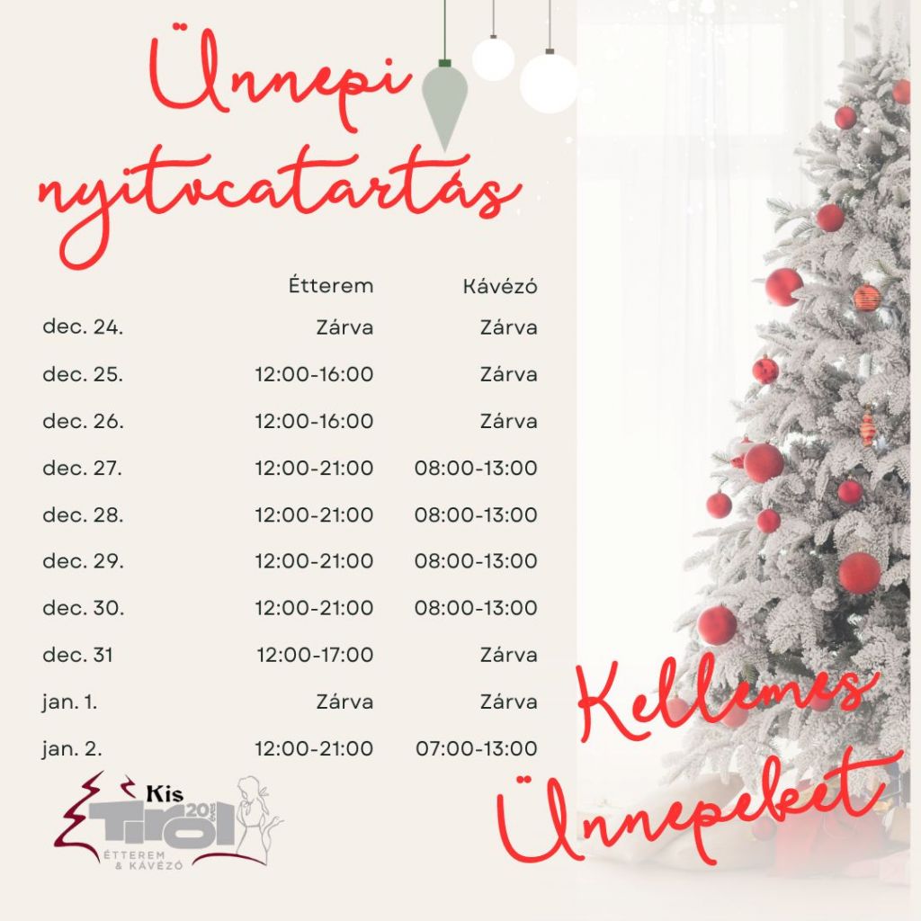 Beige Minimalist Christmas Holiday Opening Hours Instagram Post
